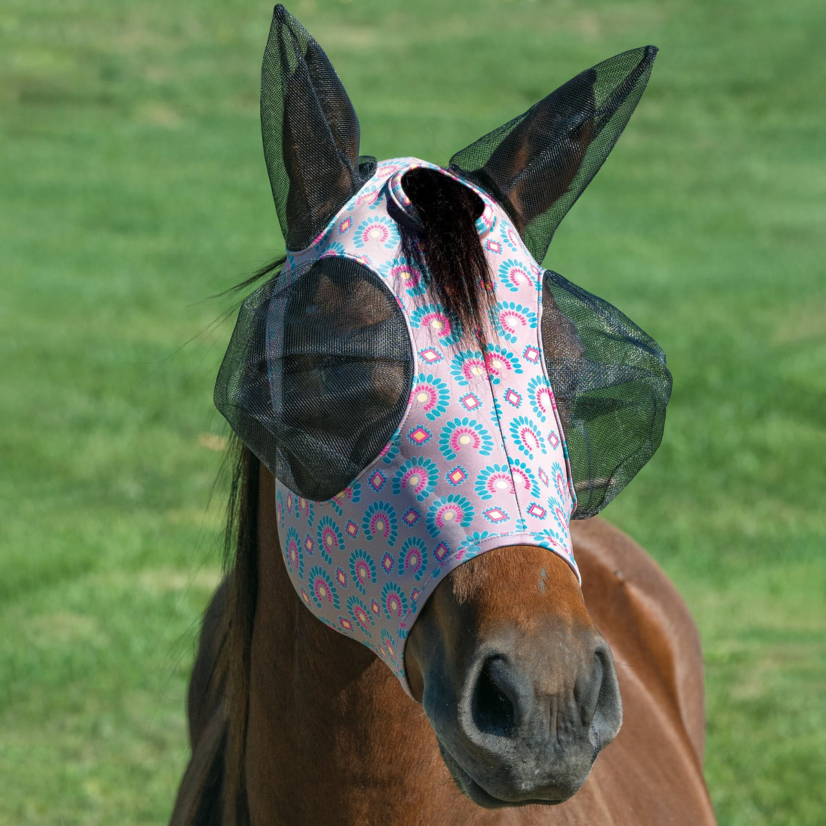 Horse Fly Mask product image 49