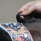 Horse Fly Mask product image 57