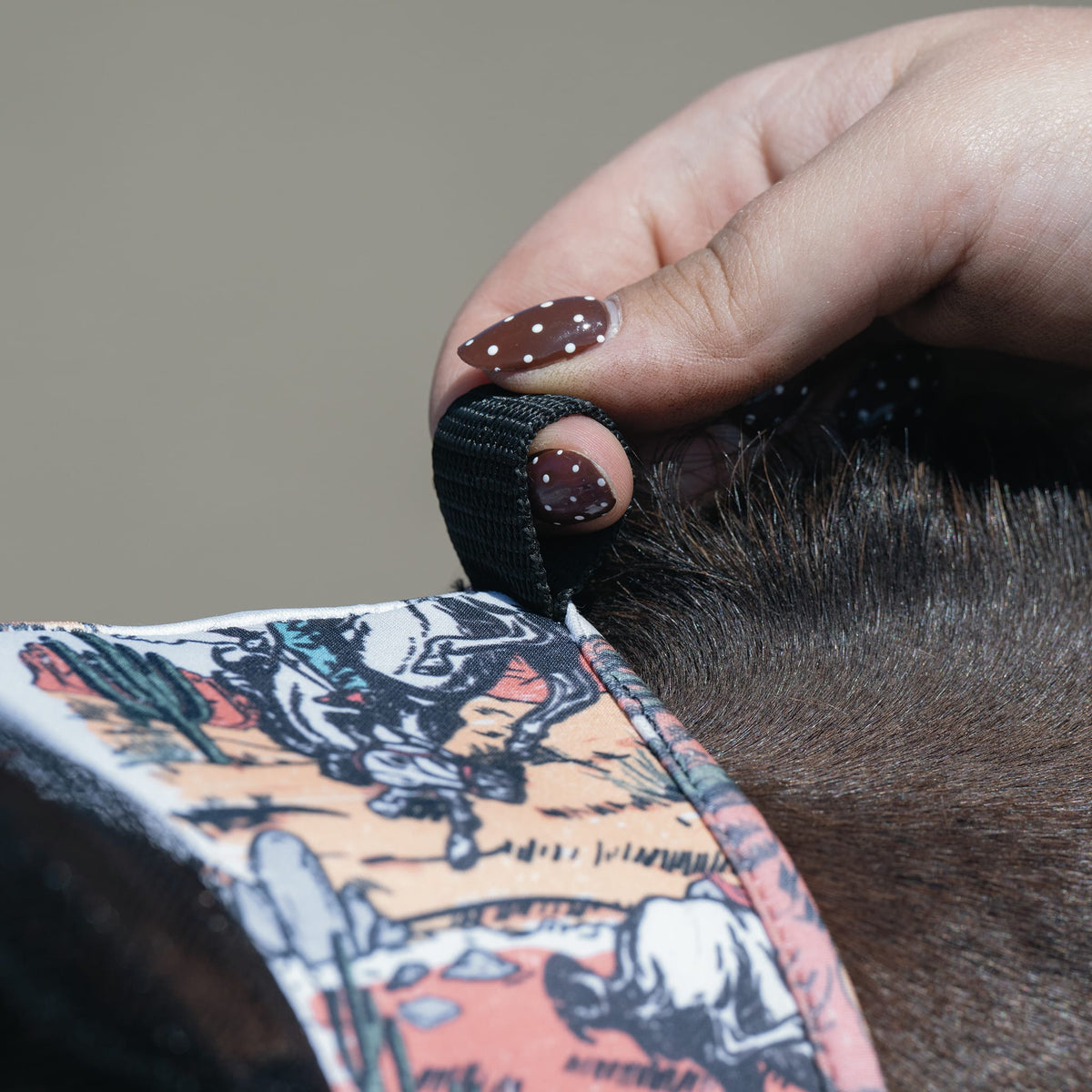 Horse Fly Mask product image 57