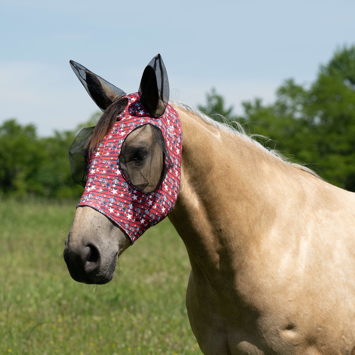 Horse Fly Mask product image 61