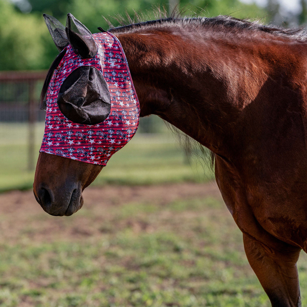 Horse Fly Mask product image 65