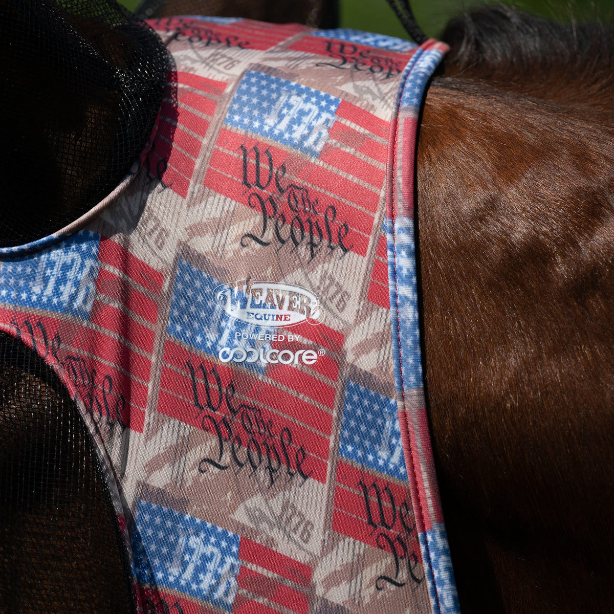 Horse Fly Mask product image 72