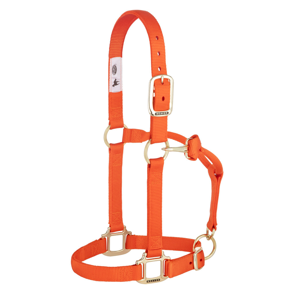 Adjustable Nylon Horse Halter product image 2