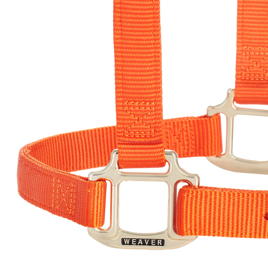 Adjustable Nylon Horse Halter product image 3