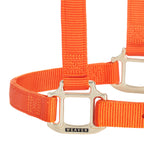 Adjustable Nylon Horse Halter product image 3