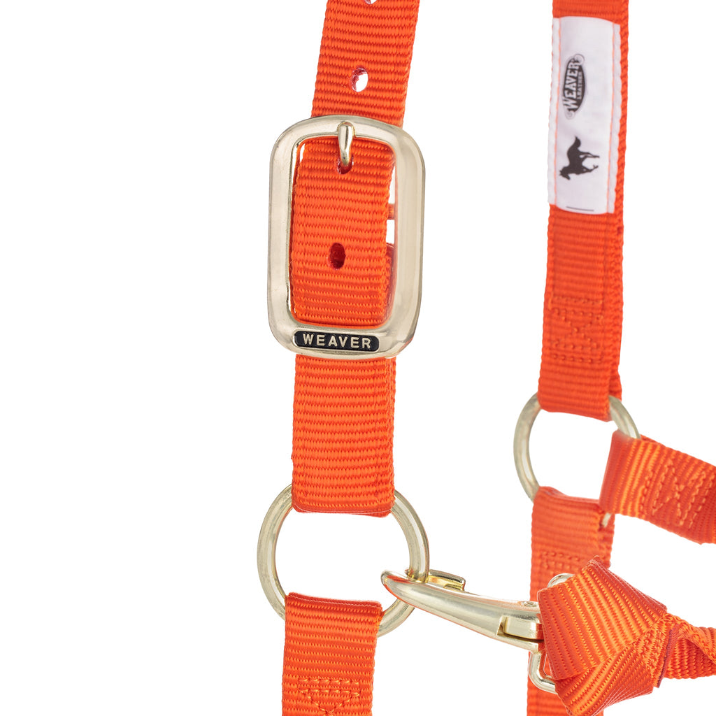 Adjustable Nylon Horse Halter product image 4