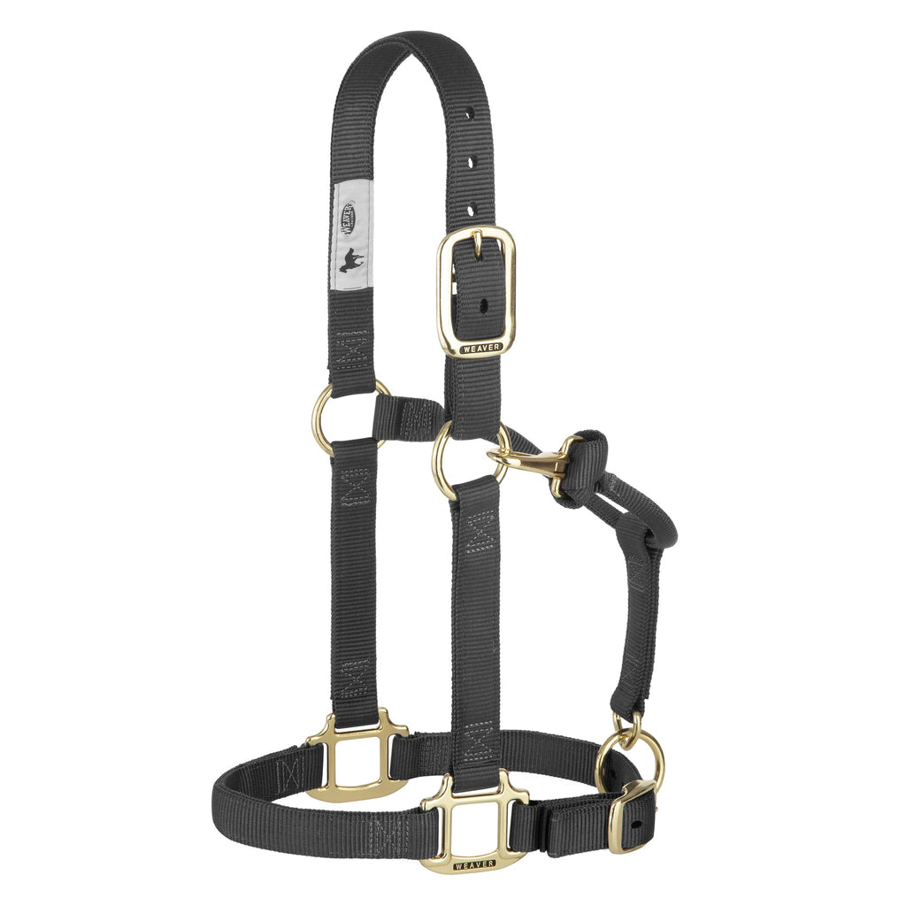 Adjustable Nylon Horse Halter product image 10