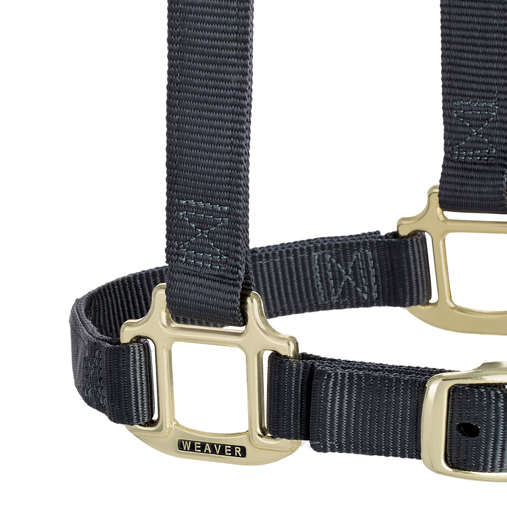 Adjustable Nylon Horse Halter product image 11