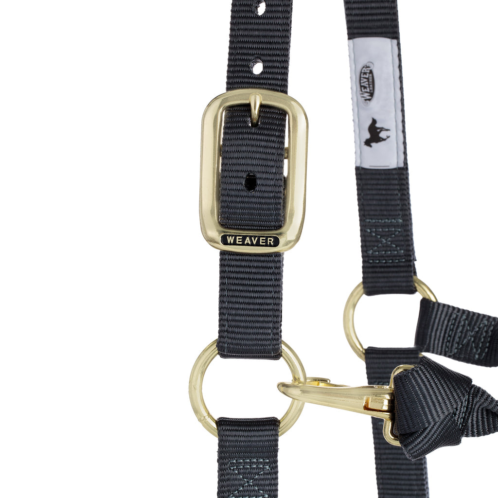 Adjustable Nylon Horse Halter product image 12