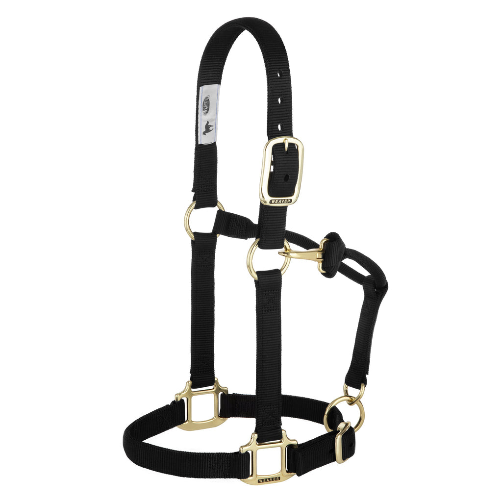 Adjustable Nylon Horse Halter product image 14