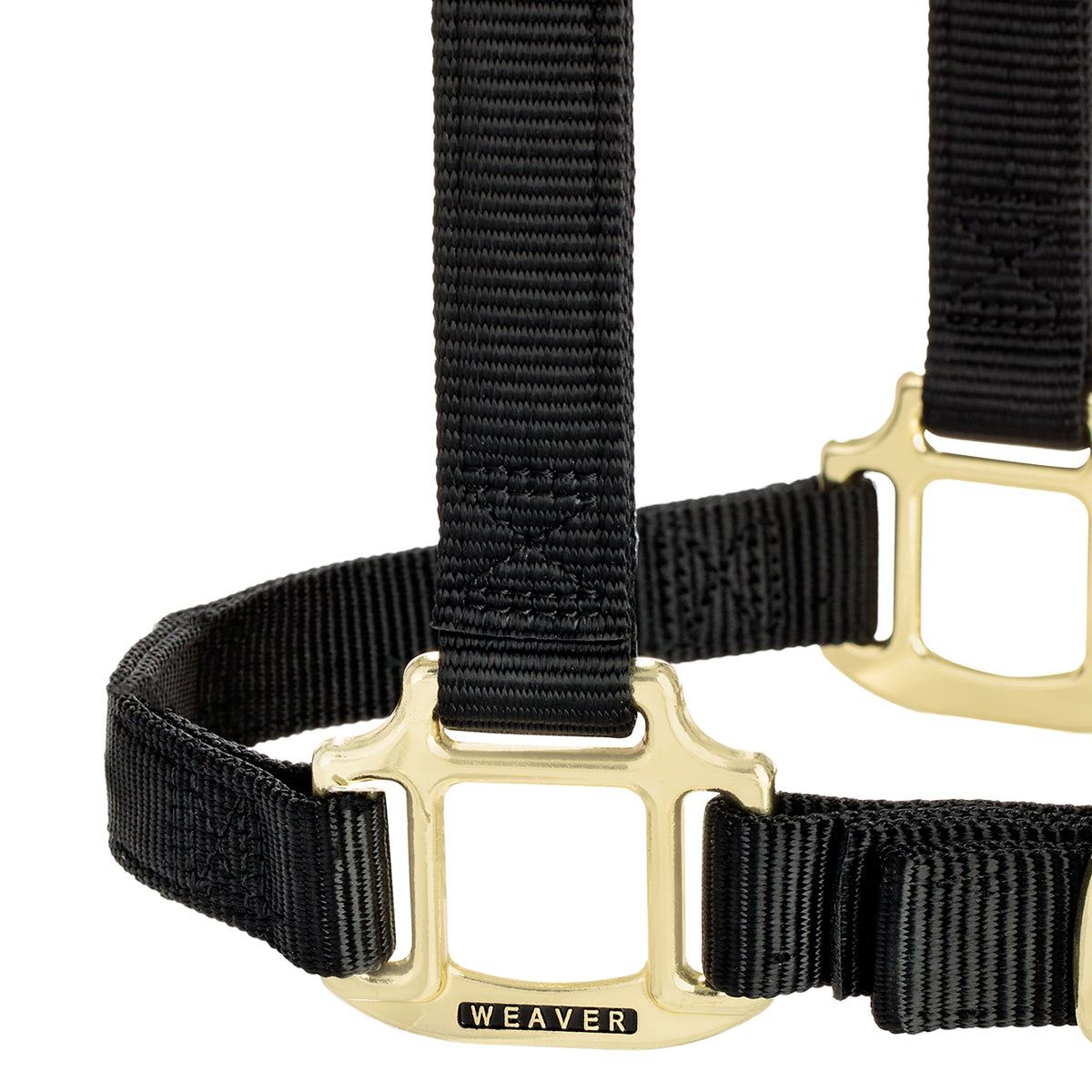 Adjustable Nylon Horse Halter product image 15