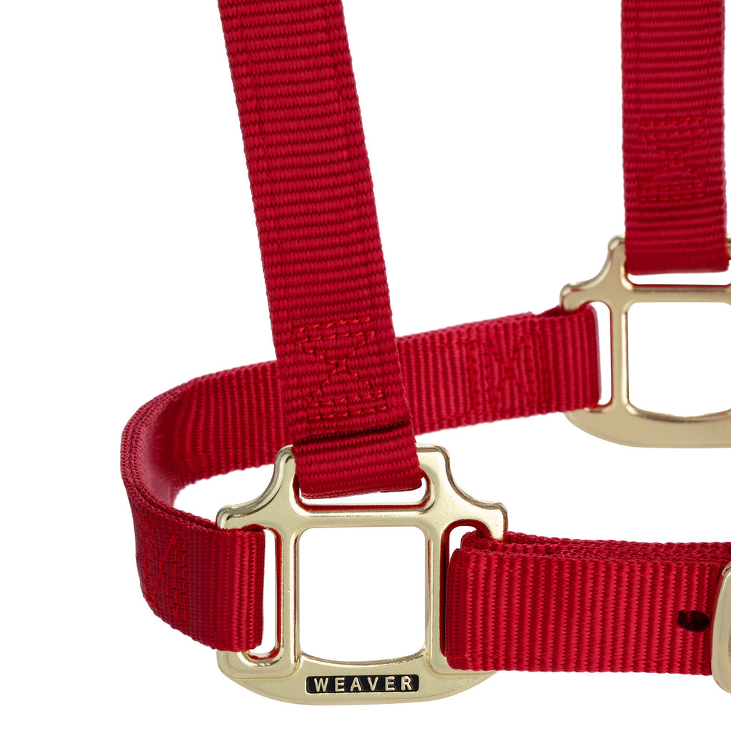 Adjustable Nylon Horse Halter product image 29