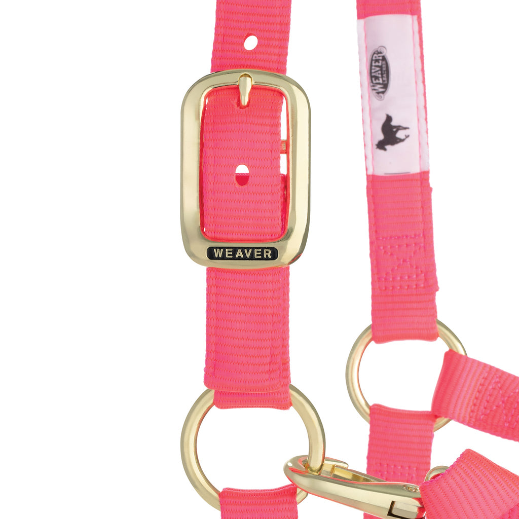 Adjustable Nylon Horse Halter product image 37