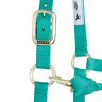 Adjustable Nylon Horse Halter product image 44