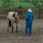 Rope Halter product image 2