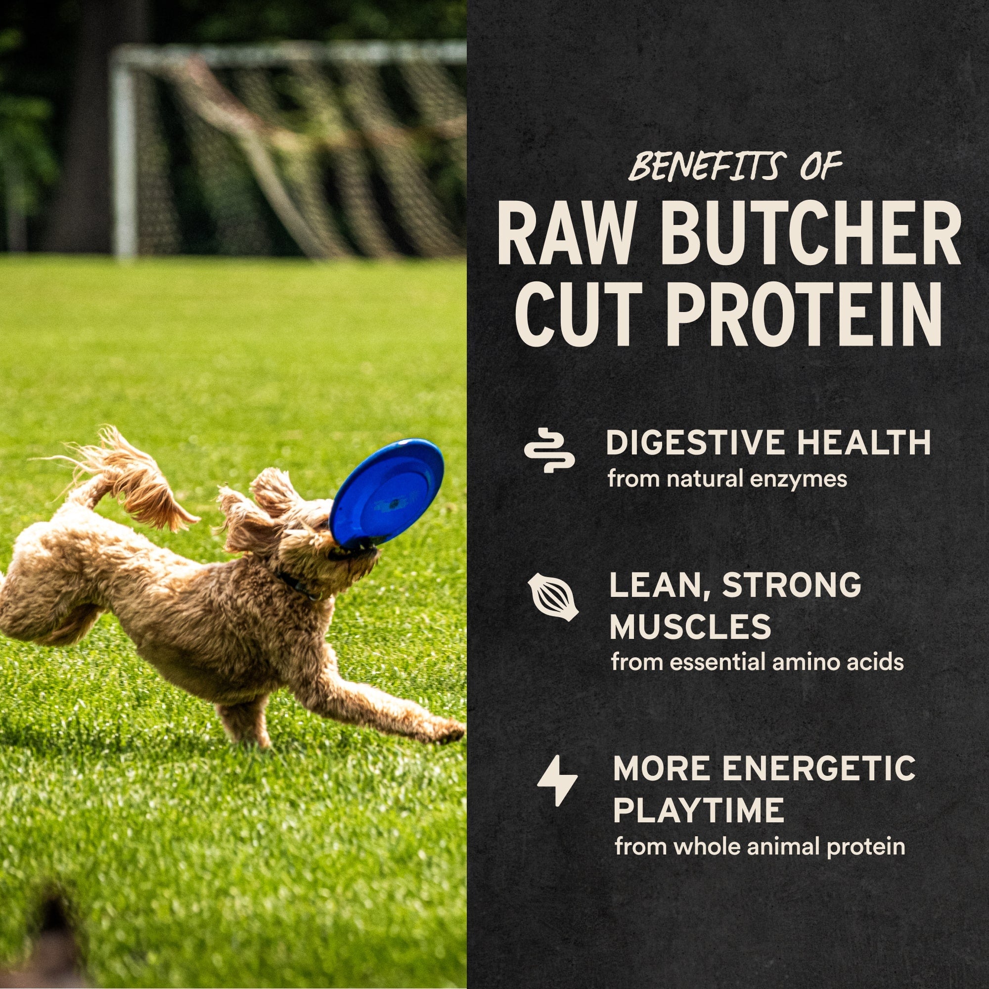 Freeze-Dried Chicken Breast Dog Treats product image 4