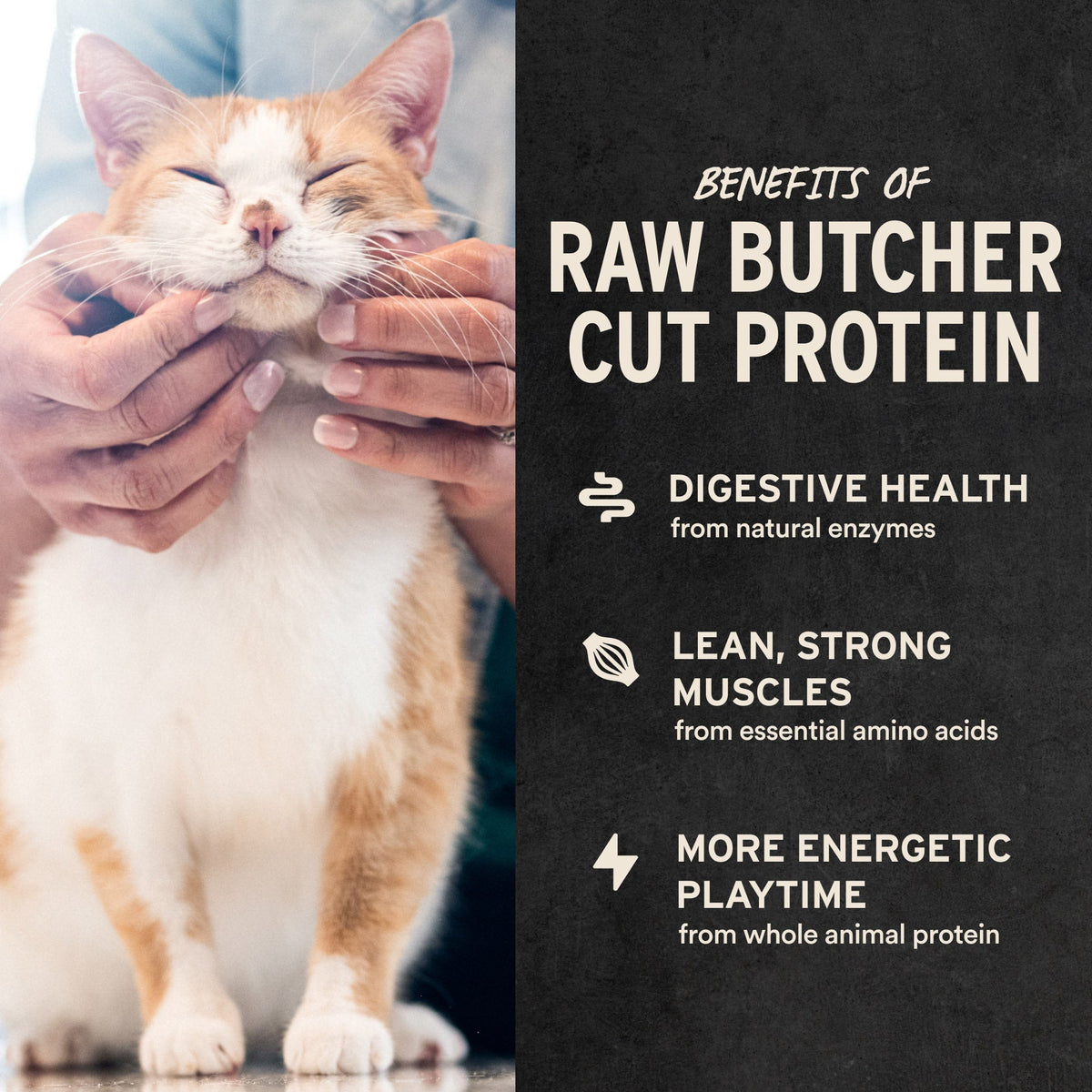 Freeze-Dried Minnow Cat Treats product image 4