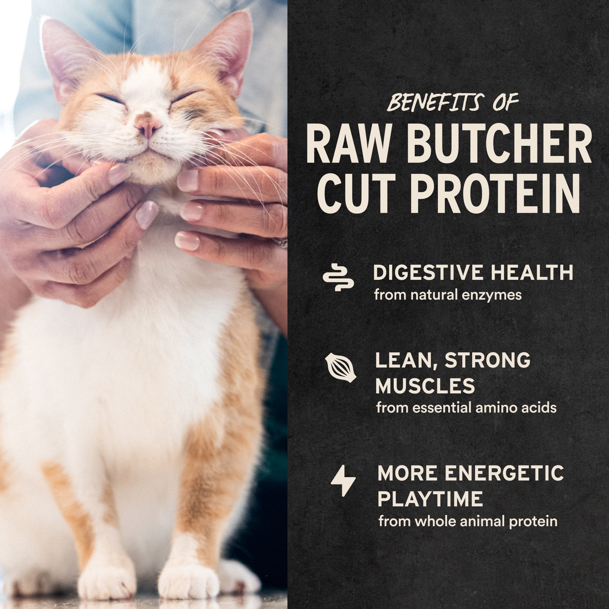 Cat Treat product image 4
