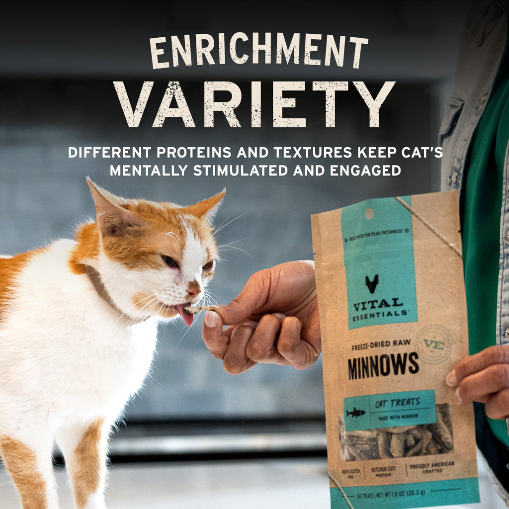 Cat Treat product image 6