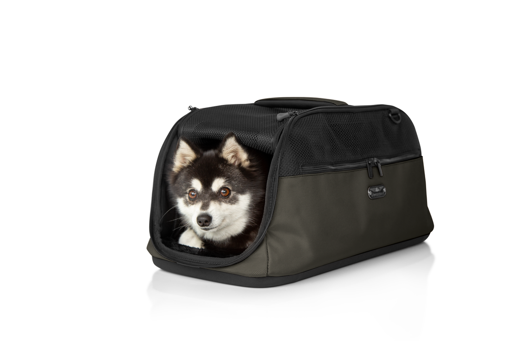 Airline-Approved Pet Carrier product image 8