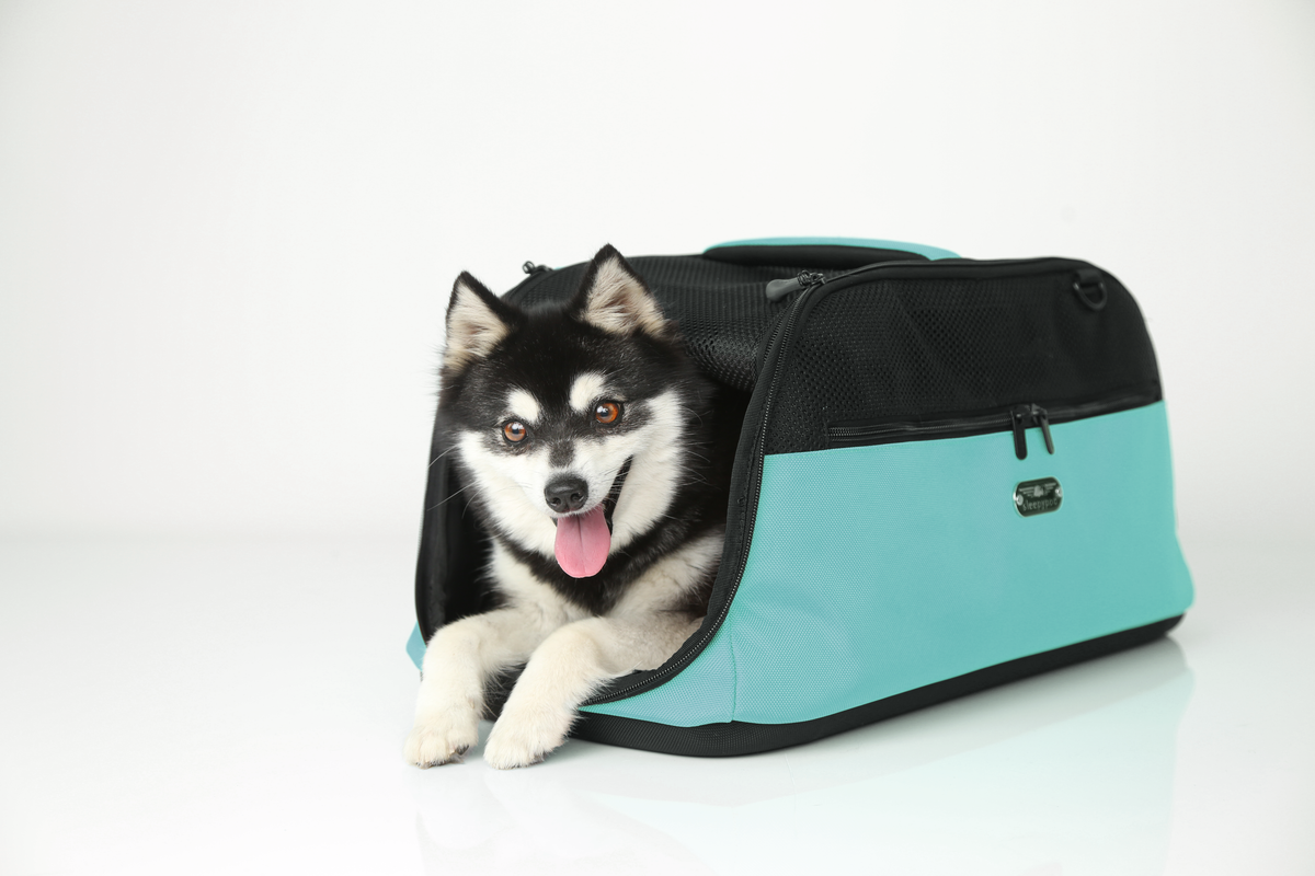 Airline-Approved Pet Carrier product image 13