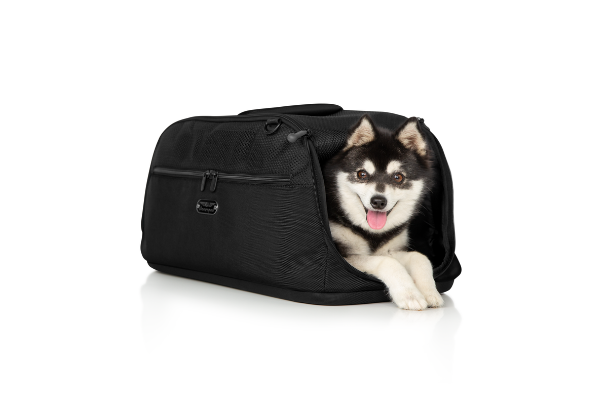 Airline-Approved Pet Carrier product image 15