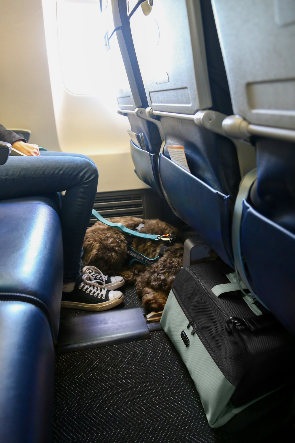 Airline-Approved Pet Carrier product image 18