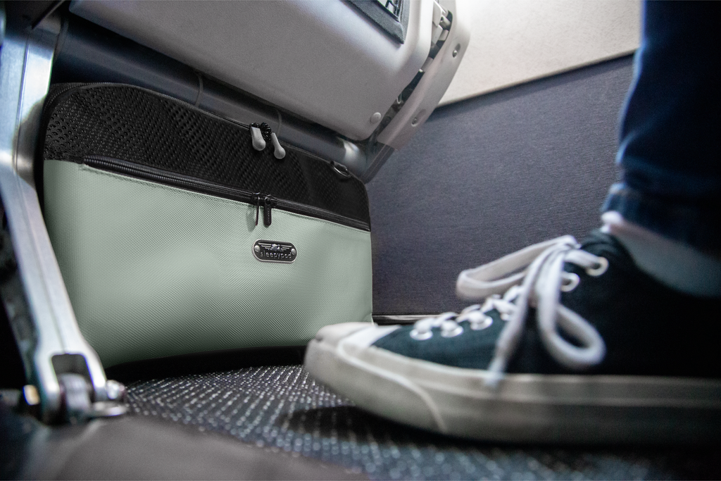 Airline-Approved Pet Carrier product image 19