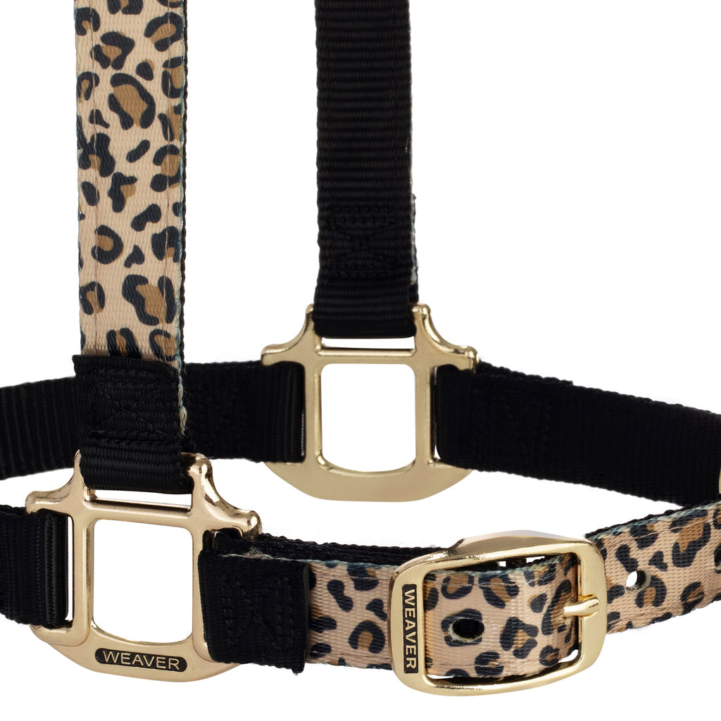 Nylon Horse Halter product image 32