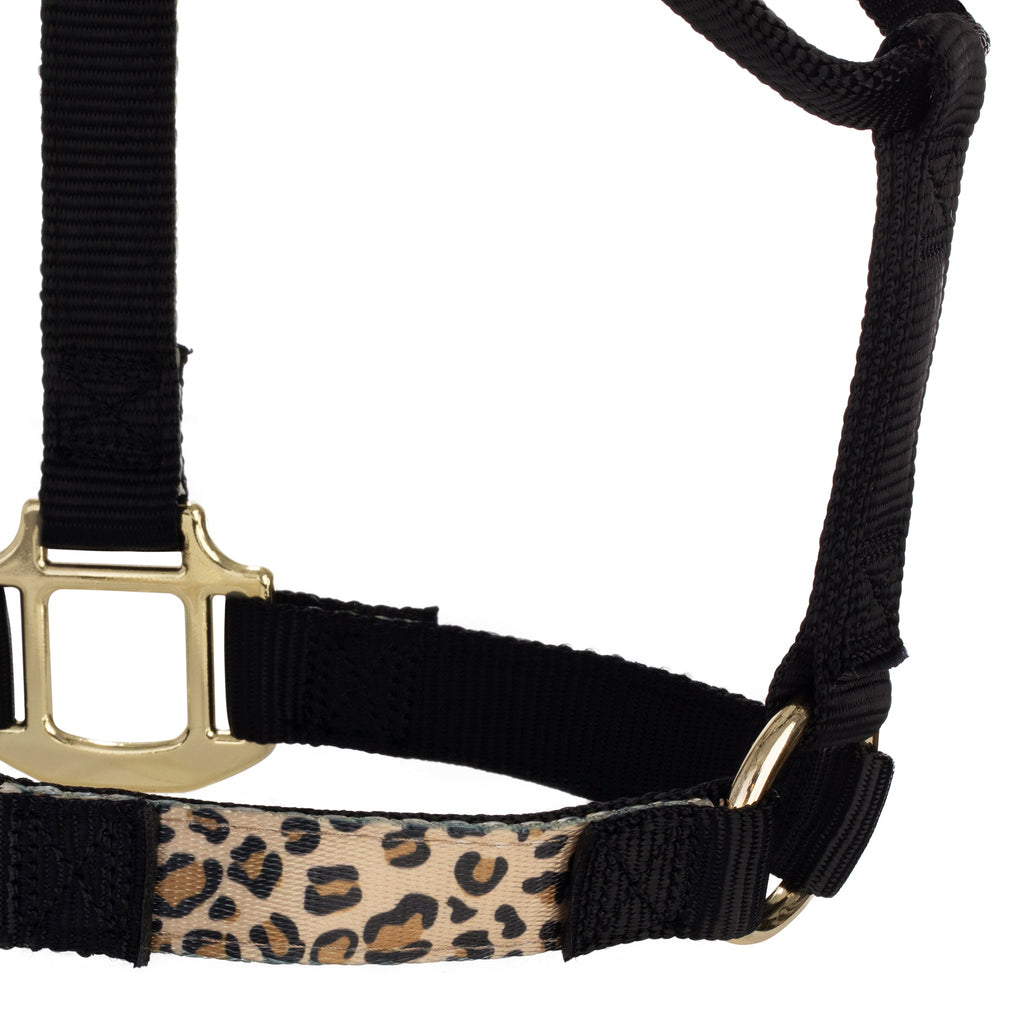 Horse Halter product image 17