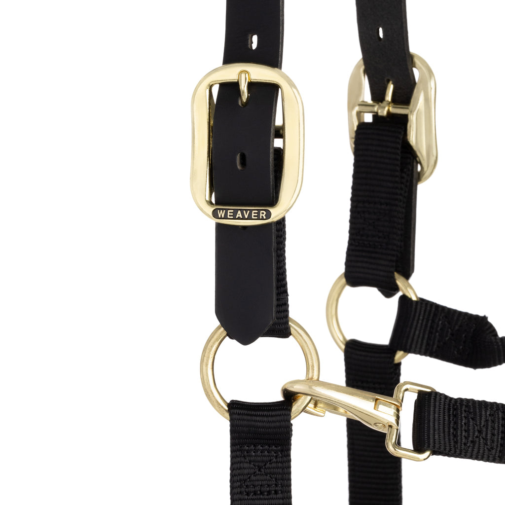 Breakaway Horse Halter product image 6