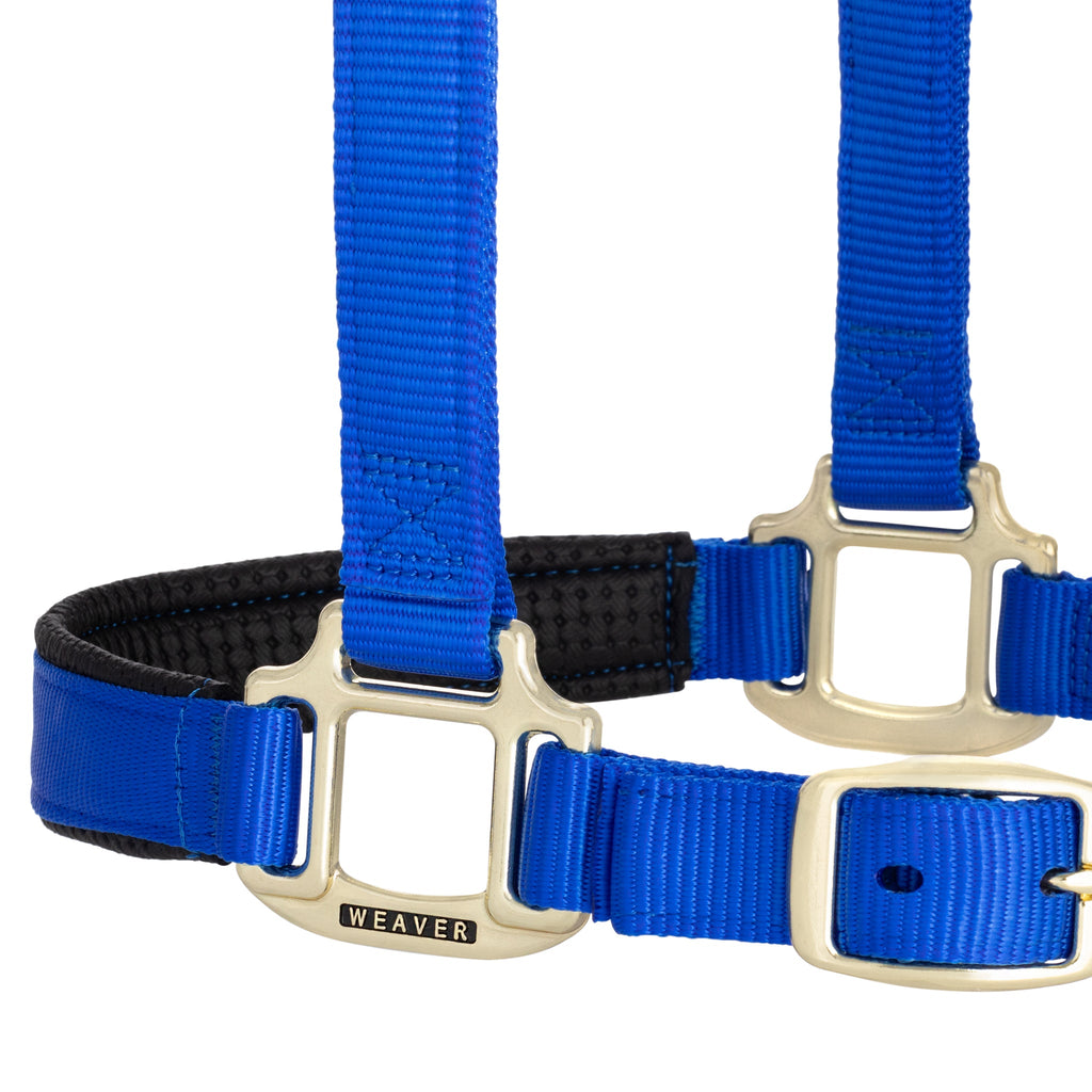 Breakaway Horse Halter product image 9