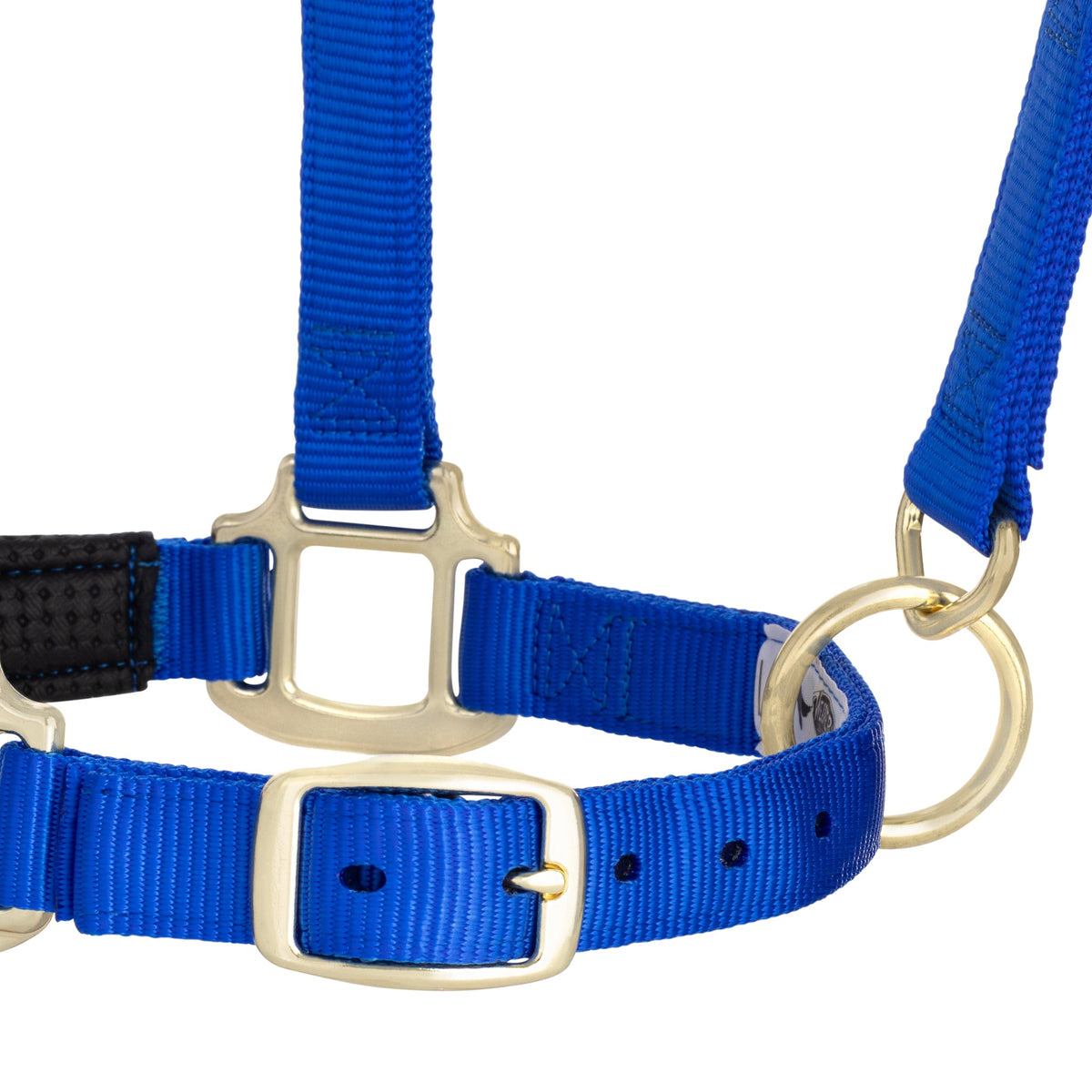 Breakaway Horse Halter product image 11