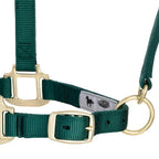 Breakaway Horse Halter product image 24