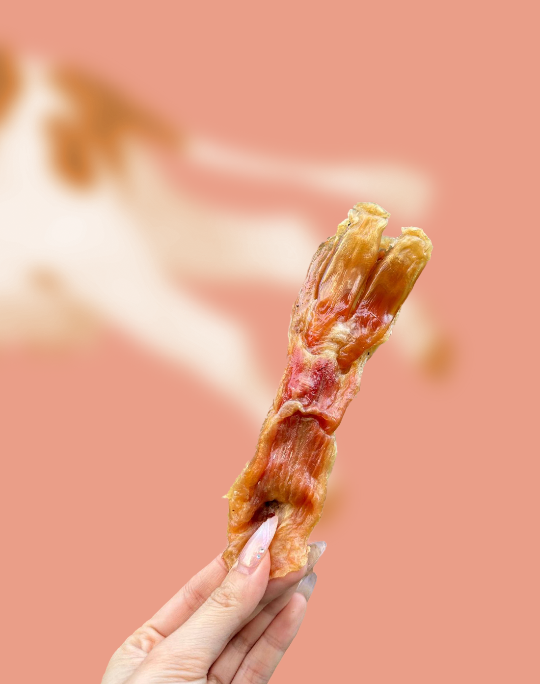 Beef Tendon Chews product image 2