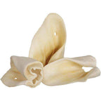Cow Ear Dog Chew product image 2