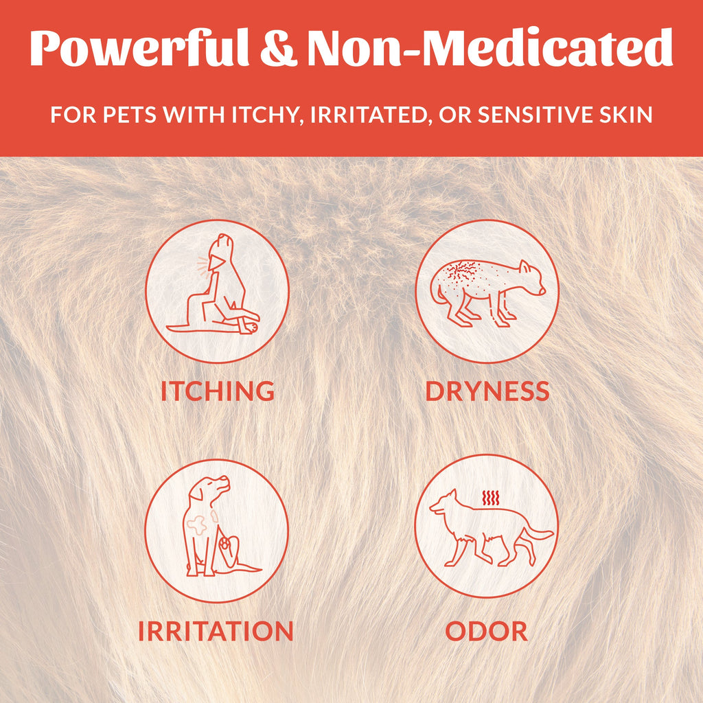 Pet Shampoo product image 5