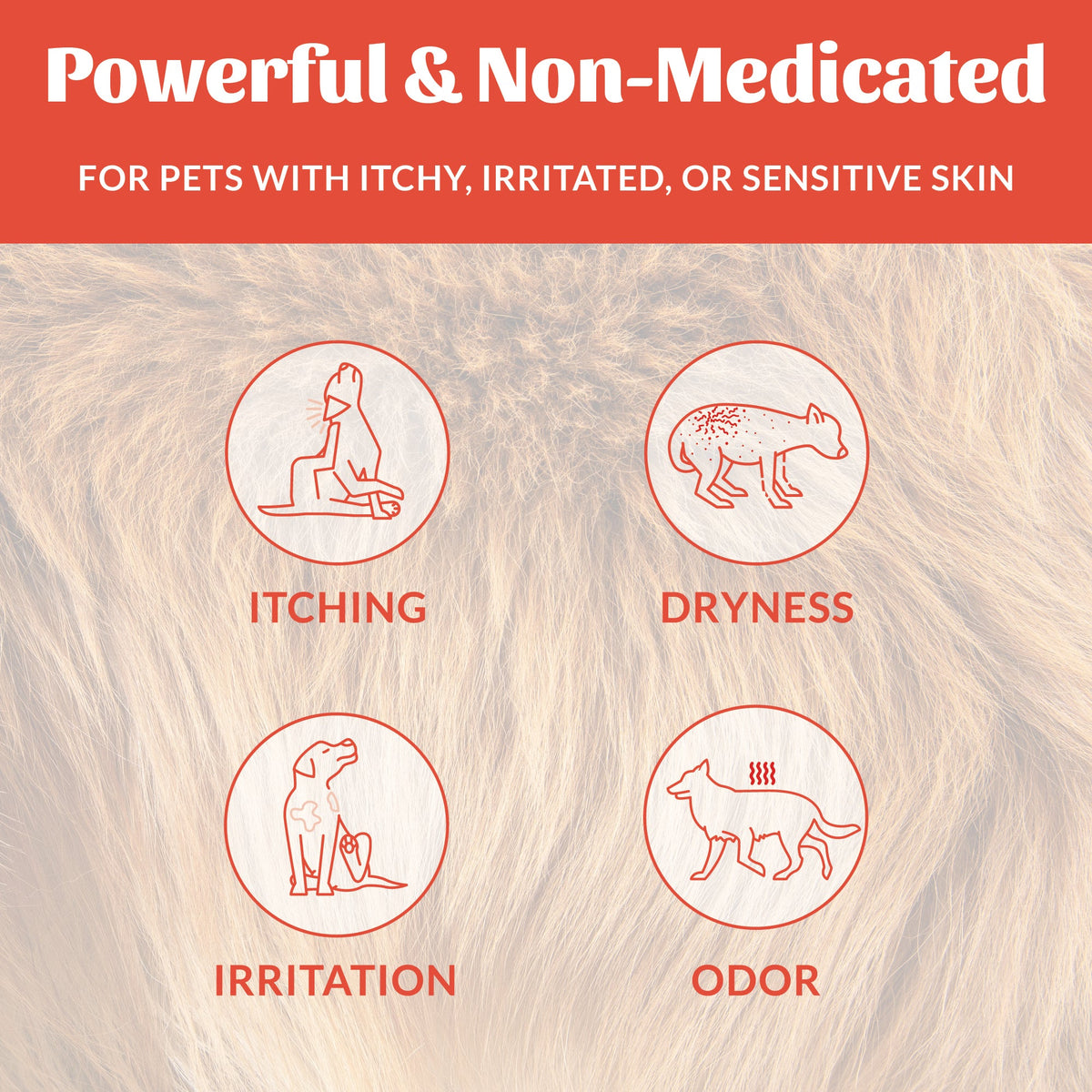 Pet Shampoo product image 5