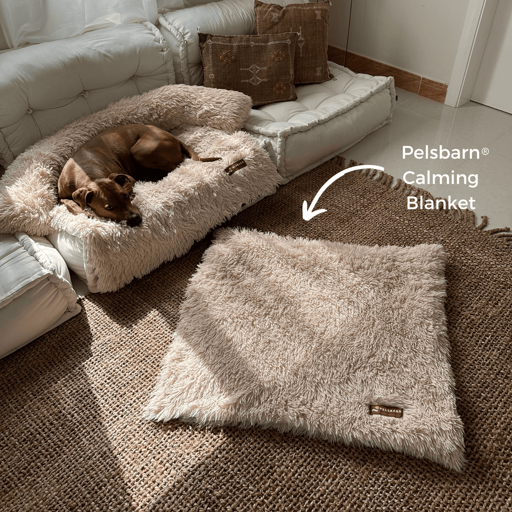 Dog Blanket product image 2