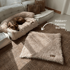 Dog Blanket product image 2