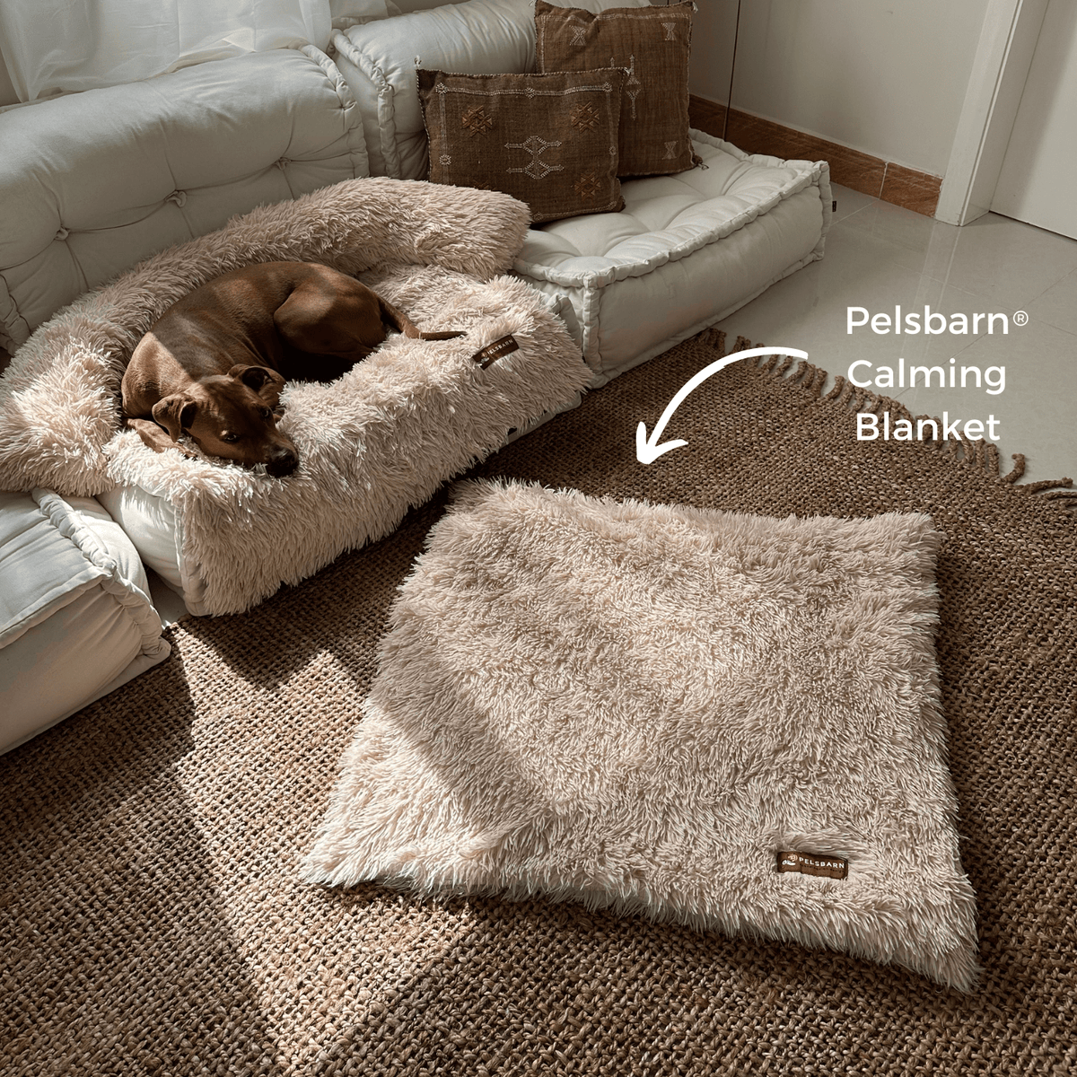 Dog Blanket product image 2