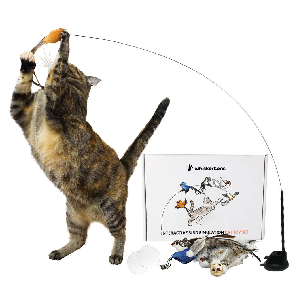 Interactive Bird Simulation Cat Toy Set product image 1