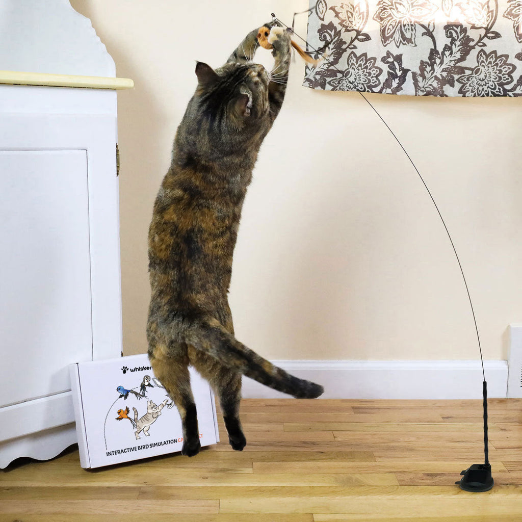 Interactive Bird Simulation Cat Toy Set product image 2