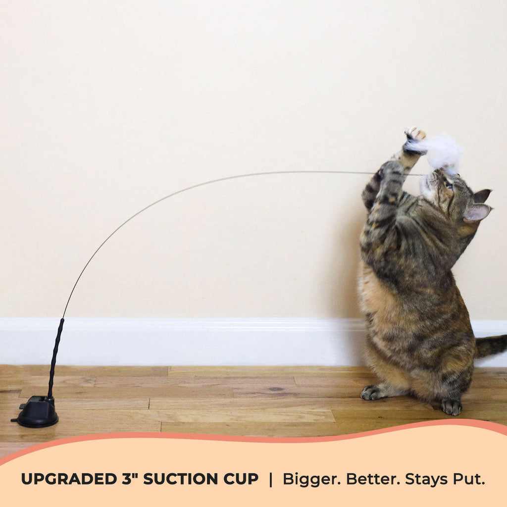 Interactive Bird Simulation Cat Toy Set product image 4