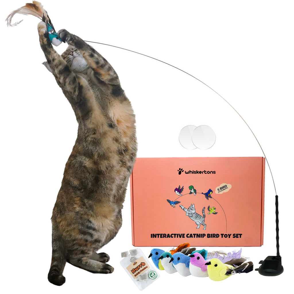 Interactive Bird Simulation Cat Toy Set product image 9