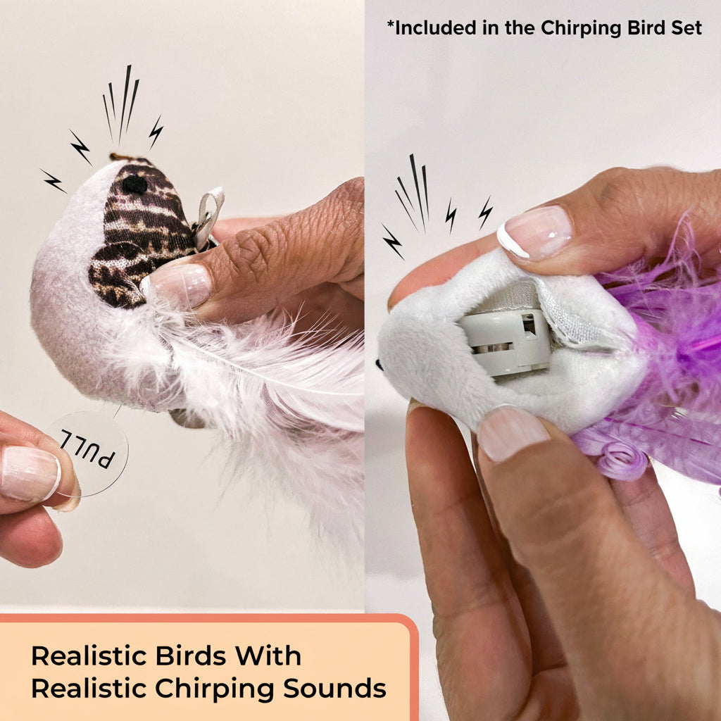 Interactive Bird Simulation Cat Toy Set product image 14