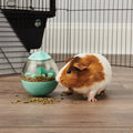 Guinea Pig Treat Dispenser product image 1