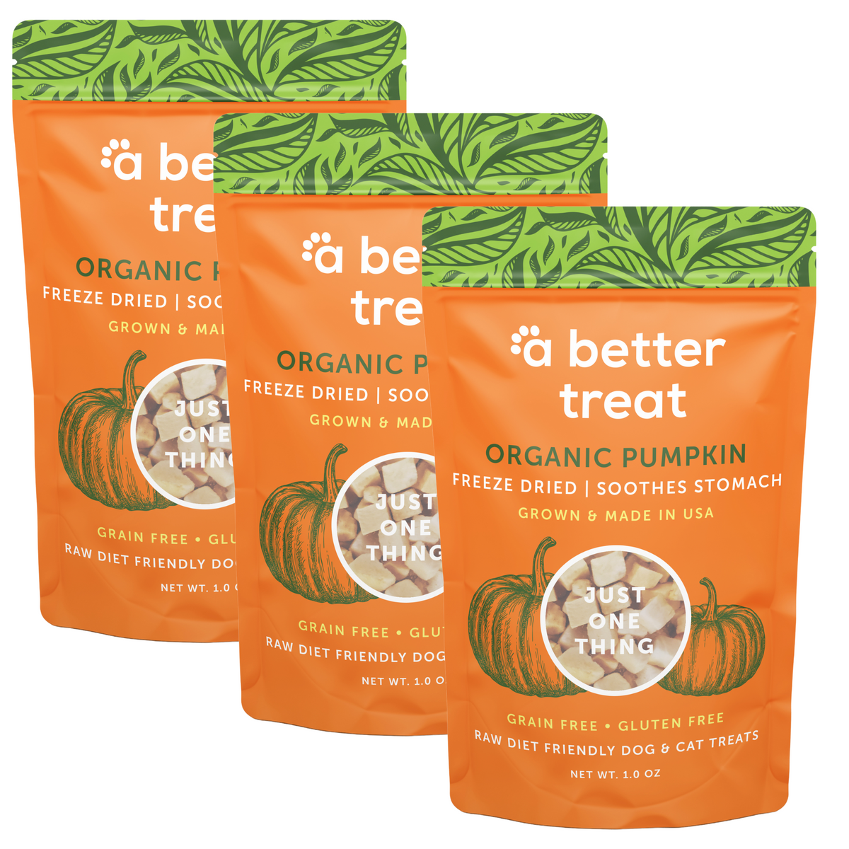 Freeze Dried Pumpkin Treats product image 1