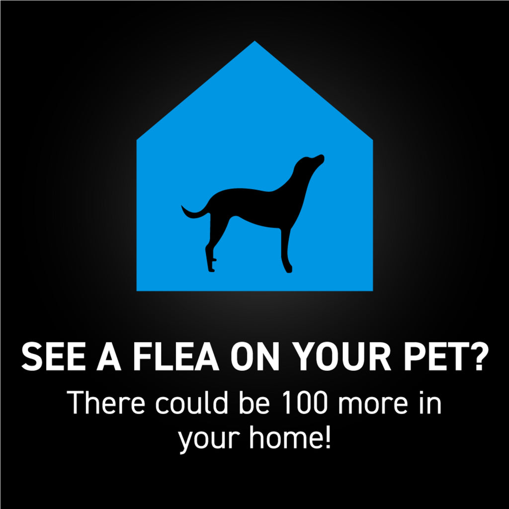 Dog Flea Treatment product image 9