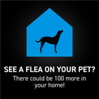 Dog Flea Treatment product image 9